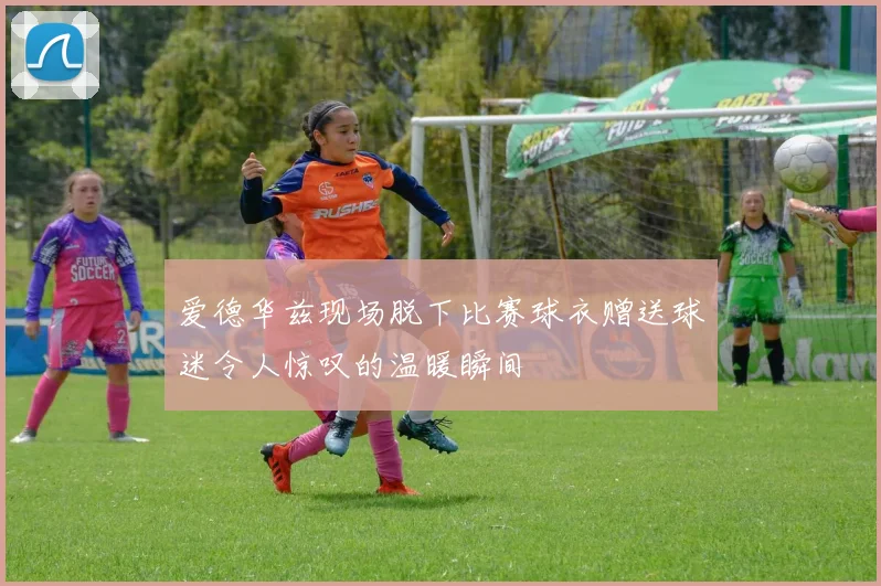 爱德华兹现场脱下比赛球衣赠送球迷令人惊叹的温暖瞬间