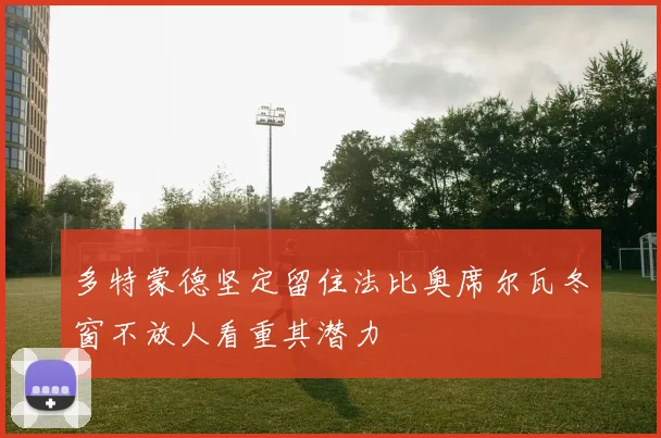 多特蒙德坚定留住法比奥席尔瓦冬窗不放人看重其潜力